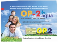 Visulaid-J_page-0077