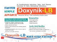 Visulaid-J_page-0128